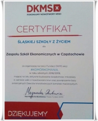Certyfikat Śląskiej Szkoły z Życiem dla ZSE