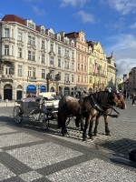 wycieczka do Pragi