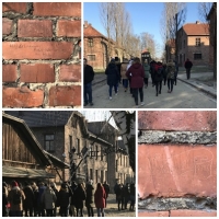 Zwiedzanie Muzeum Auschwitz- Birkenau