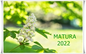 Kwiat kasztanowca z napisem MATURA 2022